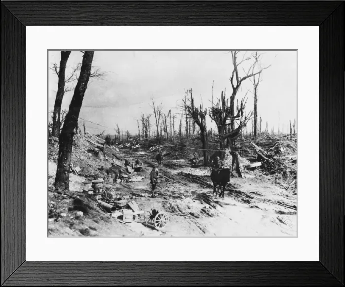 Framed Print : Bapaume approach WWI Framed Print : Bapaume approach WWI