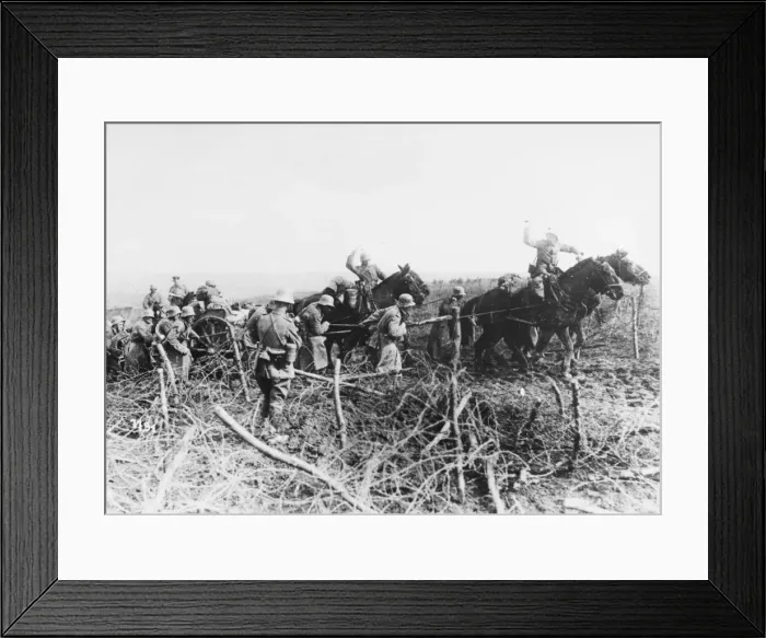 Framed Print : German artillery WWI Framed Print : German artillery WWI