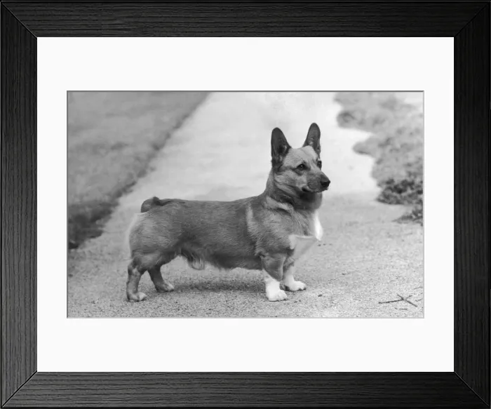 Framed Print : CH Knowland Clipper Framed Print : CH Knowland Clipper