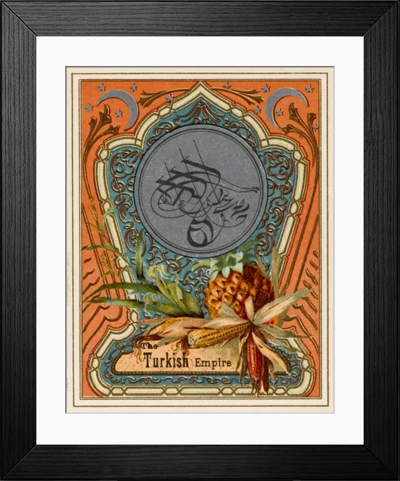 Framed Print : Fantasy Postcard on Turkish Empire Framed Print : Fantasy Postcard on Turkish Empire