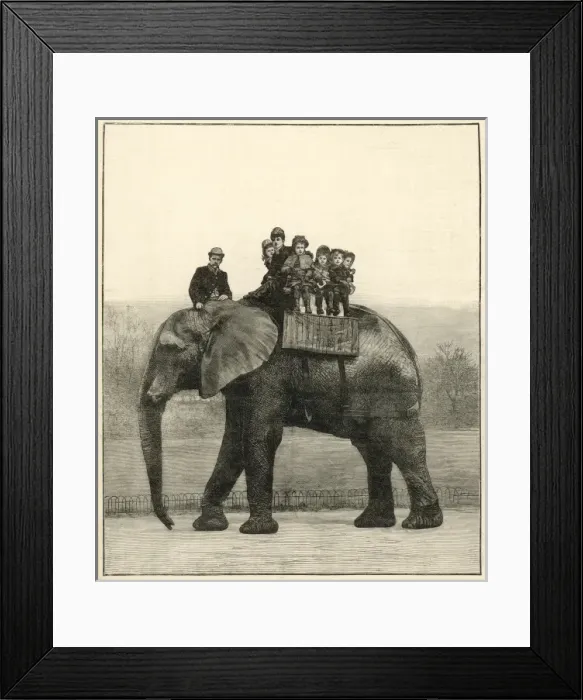 Framed Print : Farewell ride on Jumbo Framed Print : Farewell ride on Jumbo