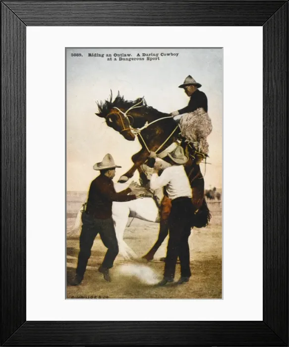 Framed Print : Cowboy Riding an outlaw Framed Print : Cowboy Riding an outlaw