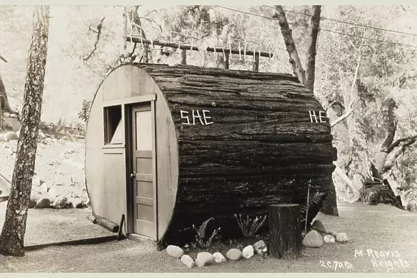 Lavatory made out of the trunk of a Redwood