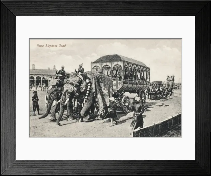 Framed Print : India - Rewa Elephant Coach Framed Print : India - Rewa Elephant Coach