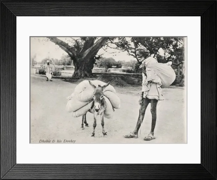 Framed Print : Indian Dhobie with his miniature donkey Framed Print : Indian Dhobie with his miniature donkey