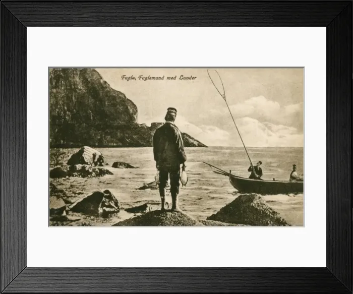 Framed Print : Faroe Islands, Denmark - Catching puffins Framed Print : Faroe Islands, Denmark - Catching puffins
