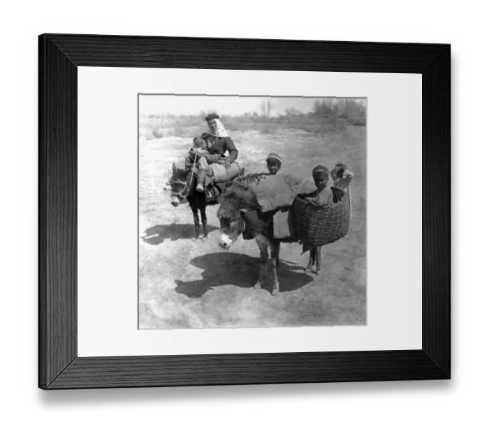 Framed Print : Family travelling by donkey, Kashgar, western China Framed Print : Family travelling by donkey, Kashgar, western China