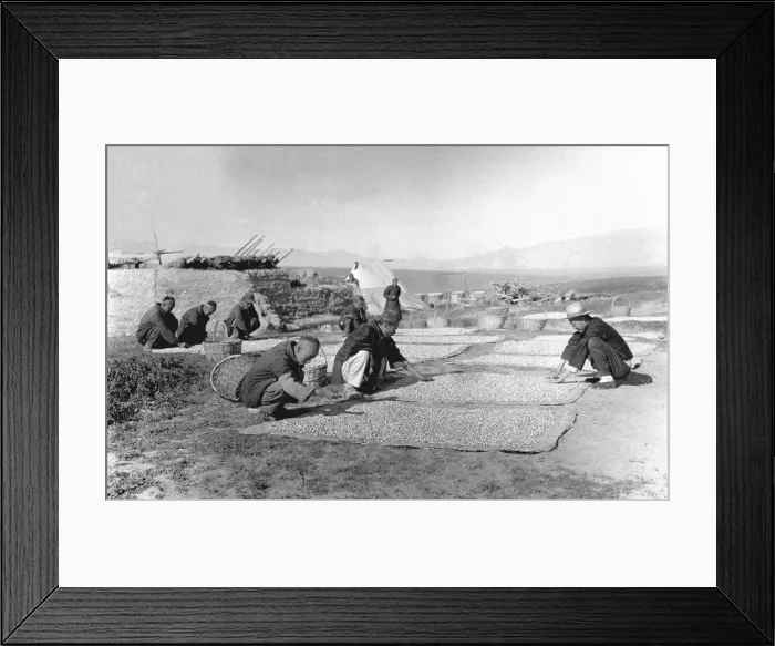 Framed Print : Food drying or sorting in Kashgar, western China Framed Print : Food drying or sorting in Kashgar, western China