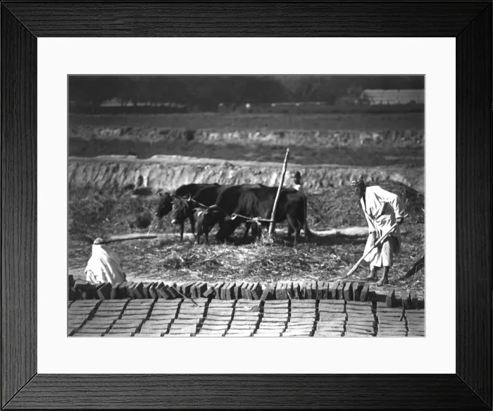 Framed Print : Brickmaking in Kashgar, western China Framed Print : Brickmaking in Kashgar, western China