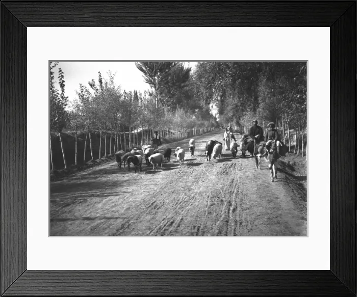 Framed Print : People and animals on a road, Kashgar, western China Framed Print : People and animals on a road, Kashgar, western China