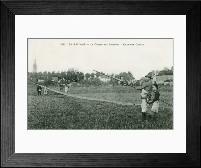 Framed Print : Catching larks at Gatinais, France