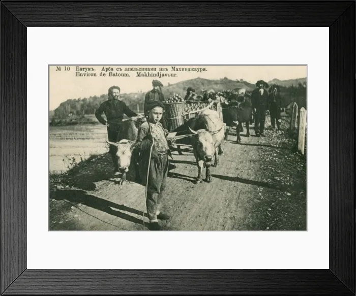 Framed Print : Georgia - Batumi - Farmers Framed Print : Georgia - Batumi - Farmers