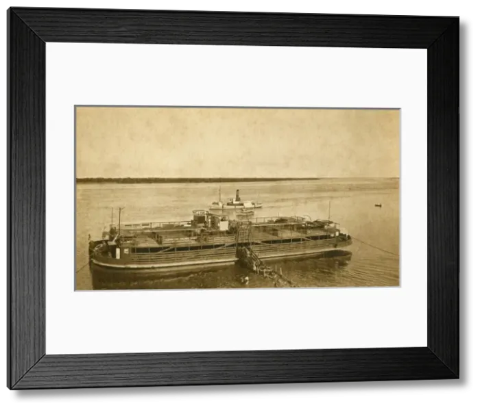 Framed Print : Argentina - Unloading cattle