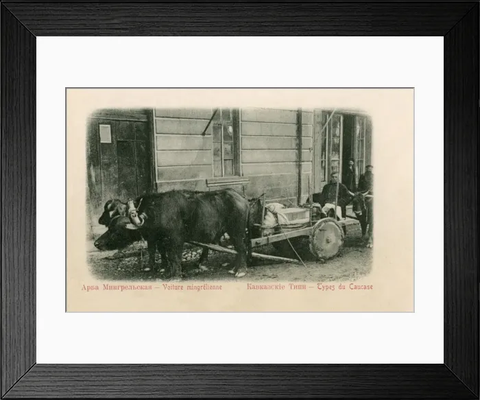 Framed Print : Georgia - Buffalo-pulled wagon - Abkhazia Framed Print : Georgia - Buffalo-pulled wagon - Abkhazia