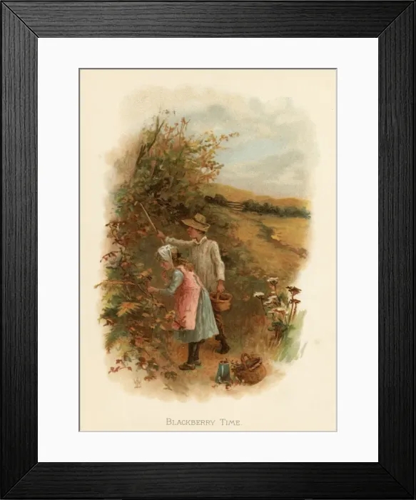 Framed Print : Blackberry time / childrens book Framed Print : Blackberry time / childrens book