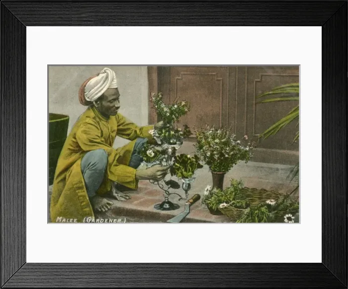 Framed Print : Indian Gardener Framed Print : Indian Gardener