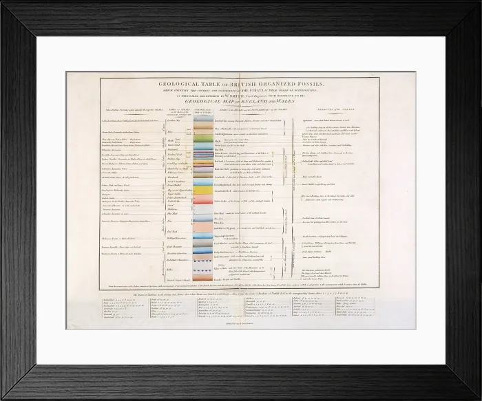 Framed Print : Geological Table of British Organized Fossils Framed Print : Geological Table of British Organized Fossils