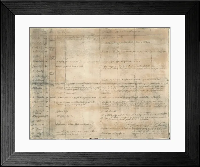 Framed Print : Reproduction of William Smith's Table of Strata Framed Print : Reproduction of William Smith's Table of Strata