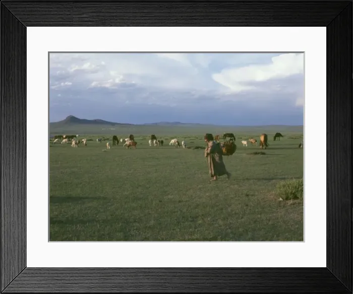 Framed Print : Landscape at Burd, Mongolia Framed Print : Landscape at Burd, Mongolia