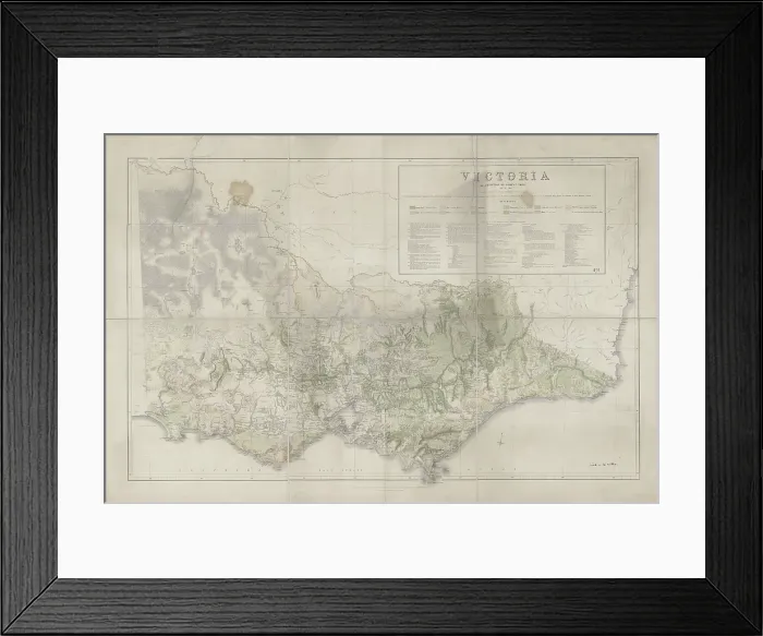 Framed Print : Victoria Distribution of Forest Trees (Everett, 1872) Framed Print : Victoria Distribution of Forest Trees (Everett, 1872)