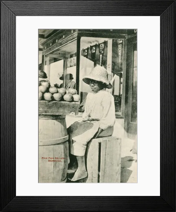 Framed Print : Paw Paw Seller - Bermuda Framed Print : Paw Paw Seller - Bermuda