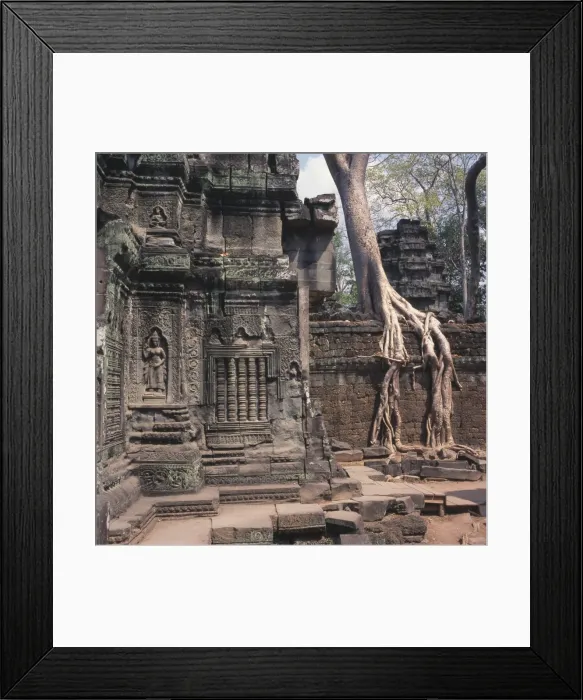 Framed Print : Entrance to Ta Prohm temple, Siem Reap, Cambodia Framed Print : Entrance to Ta Prohm temple, Siem Reap, Cambodia