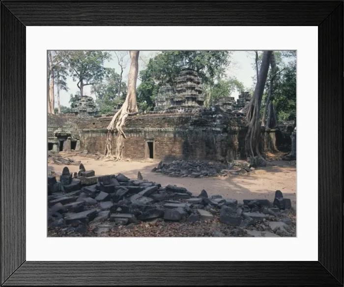 Framed Print : Ta Prohm temple, Siem Reap, Cambodia Framed Print : Ta Prohm temple, Siem Reap, Cambodia
