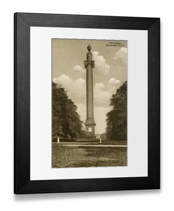 Framed Print : The Column, Savernake Forest Framed Print : The Column, Savernake Forest