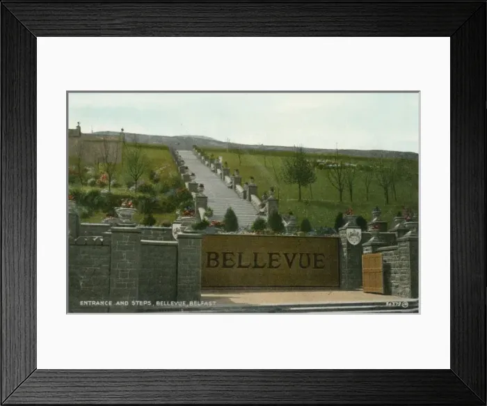 Framed Print : Bellevue Park, Belfast - Entrance and Steps Framed Print : Bellevue Park, Belfast - Entrance and Steps