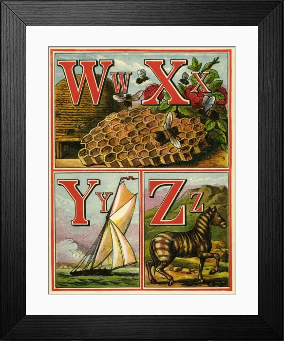 Framed Print : Anon. Warne alphabet 1875. WXYZ Framed Print : Anon. Warne alphabet 1875. WXYZ