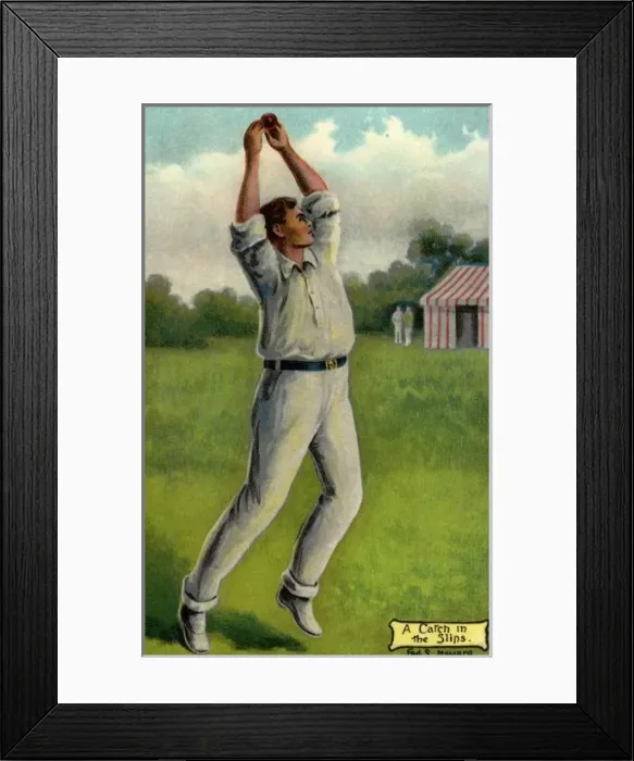 Framed Print : Fred Howard. Cricket 2 Framed Print : Fred Howard. Cricket 2