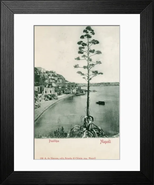 Framed Print : Italy - Naples - Posillipo Framed Print : Italy - Naples - Posillipo