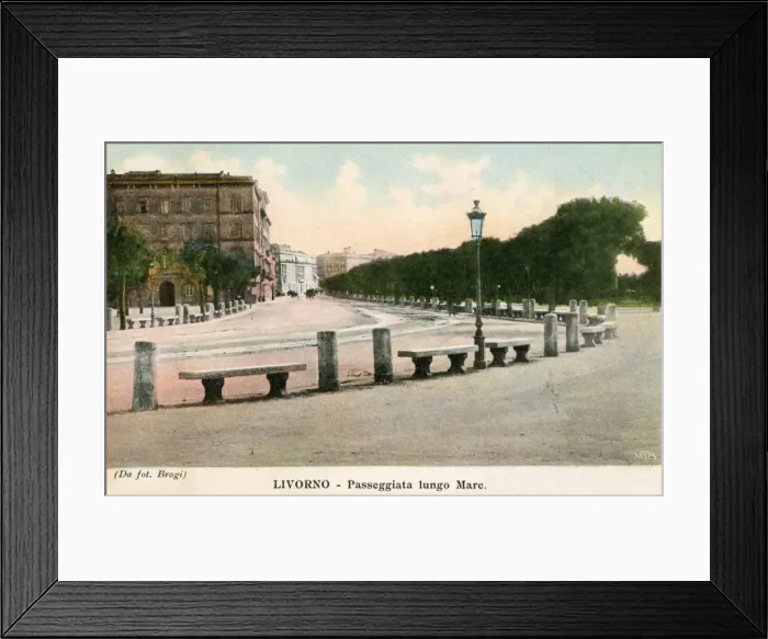 Framed Print : Italy - Livorno
