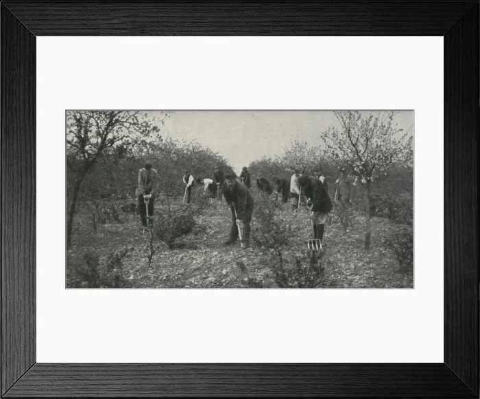 Framed Print : Salvation Army Labour Colony at Hadleigh, Essex Framed Print : Salvation Army Labour Colony at Hadleigh, Essex