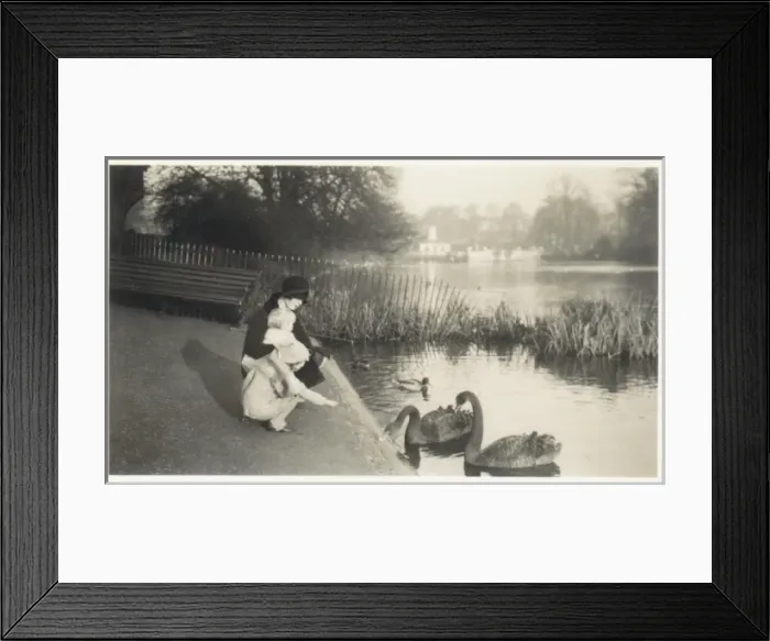 Framed Print : Woman and children feeding swans in a London park Framed Print : Woman and children feeding swans in a London park