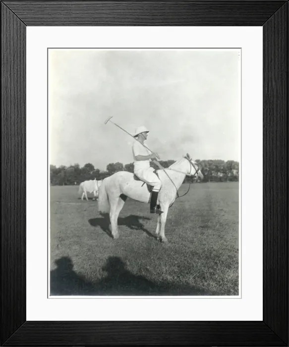 Framed Print : Polo player on his pony Framed Print : Polo player on his pony