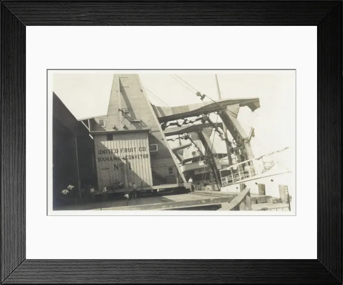 Framed Print : Dockside conveying facility for loading bananas Framed Print : Dockside conveying facility for loading bananas
