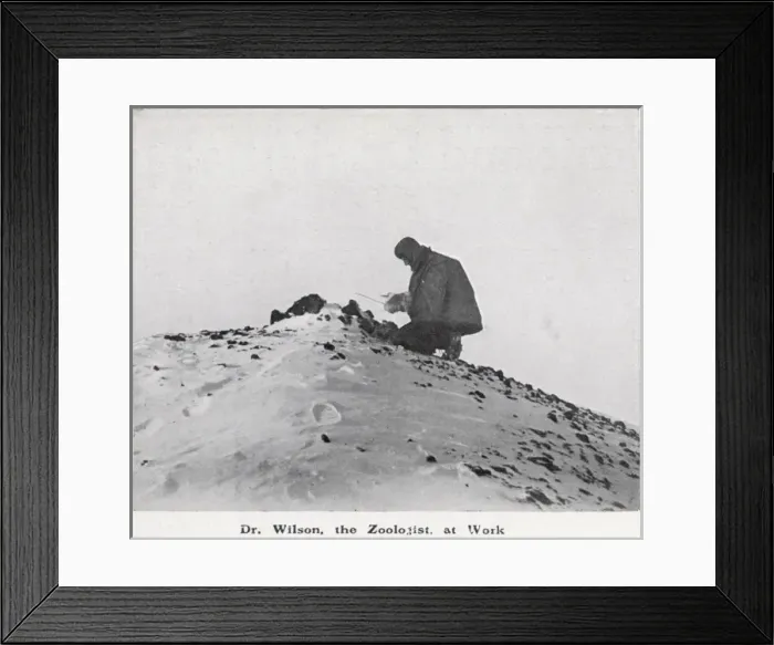Framed Print : Dr. Wilson at work Framed Print : Dr. Wilson at work