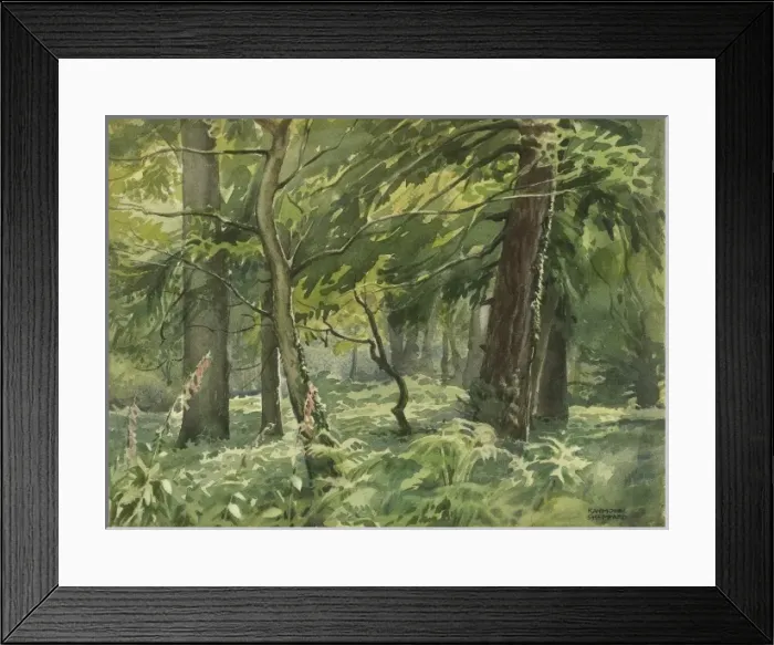 Framed Print : New Forest near Brockenhurst Framed Print : New Forest near Brockenhurst