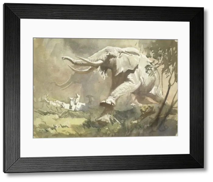 Framed Print : Elephants Stampeding Framed Print : Elephants Stampeding