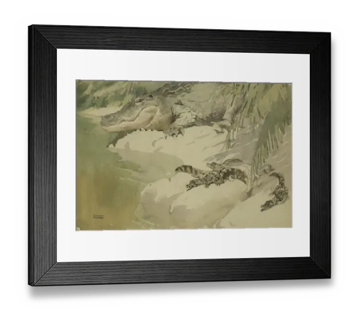Framed Print : Crocodile and young Framed Print : Crocodile and young