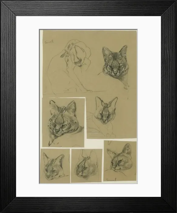 Framed Print : Serval Heads Framed Print : Serval Heads