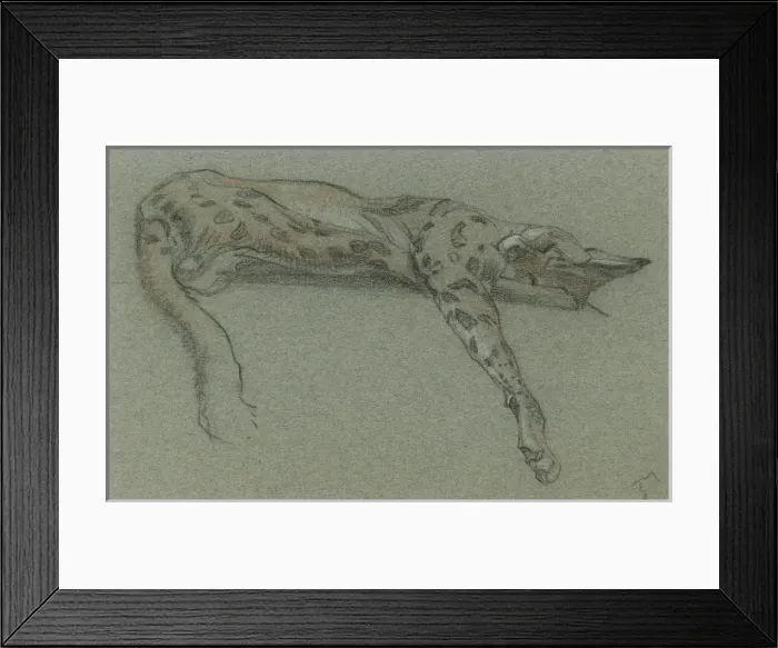 Framed Print : Serval sleeping Framed Print : Serval sleeping