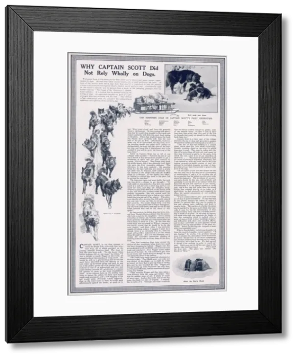 Framed Print : Why Captain Scott did not rely wholly on dogs Framed Print : Why Captain Scott did not rely wholly on dogs