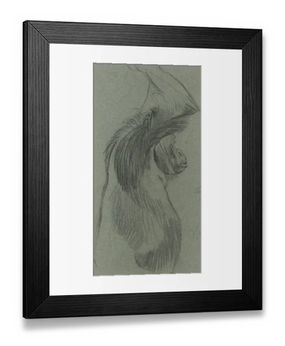 Framed Print : Orangutang Framed Print : Orangutang