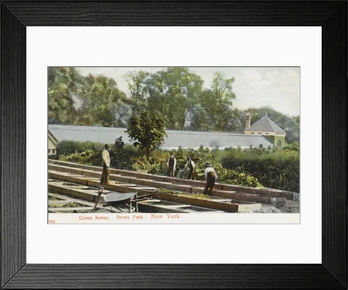 Framed Print : Bronx Park, New York Framed Print : Bronx Park, New York