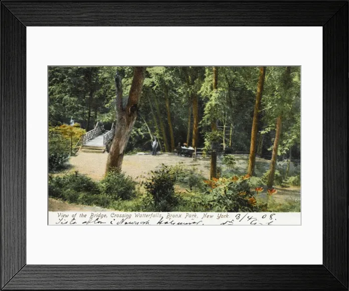 Framed Print : Bronx Park, New York Framed Print : Bronx Park, New York