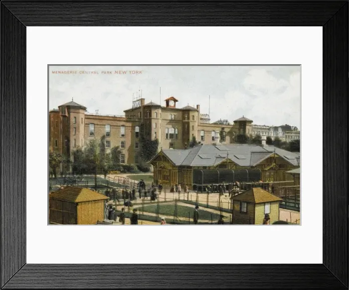 Framed Print : Central Park, New York