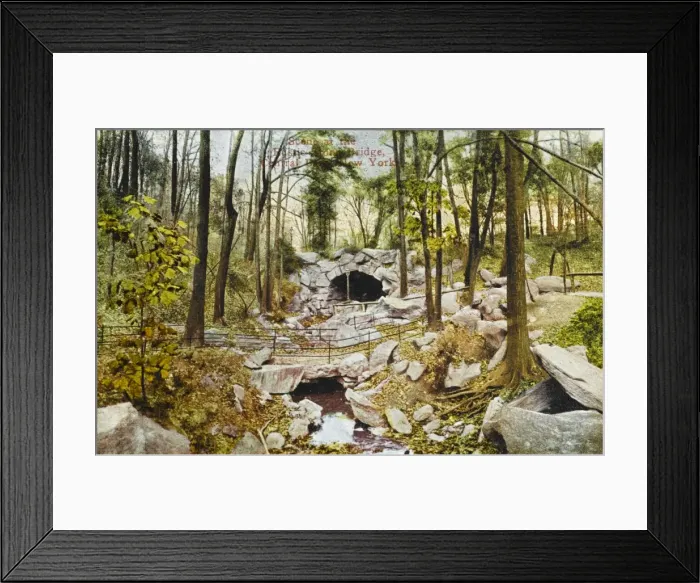 Framed Print : Central Park, New York Framed Print : Central Park, New York