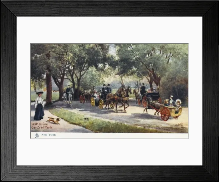 Framed Print : Central Park, New York Framed Print : Central Park, New York